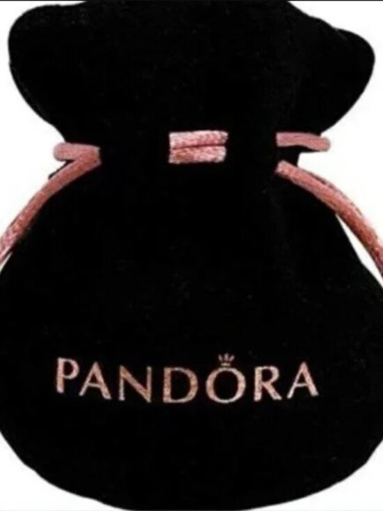 Pandora Miami Florida Charm 925 Ale Silver - Picture 4 of 4